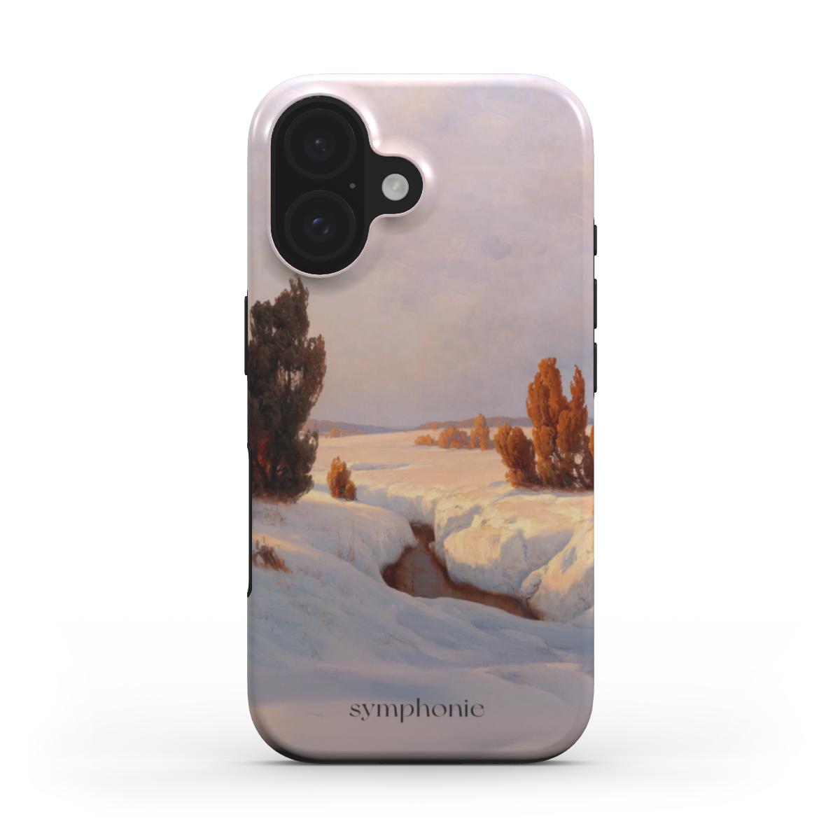 Žiemos peizažas saulėje - Tough