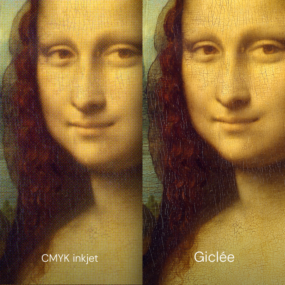 Mona Liza - Reprodukcija