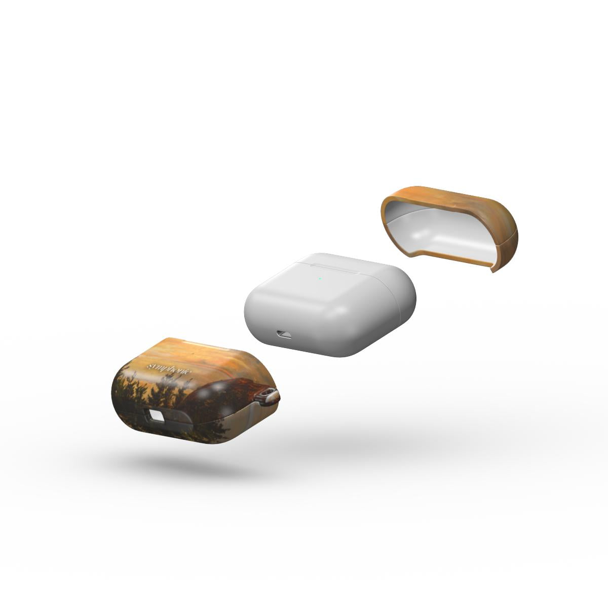 Pajūrio vaizdelis - AirPods dėklas
