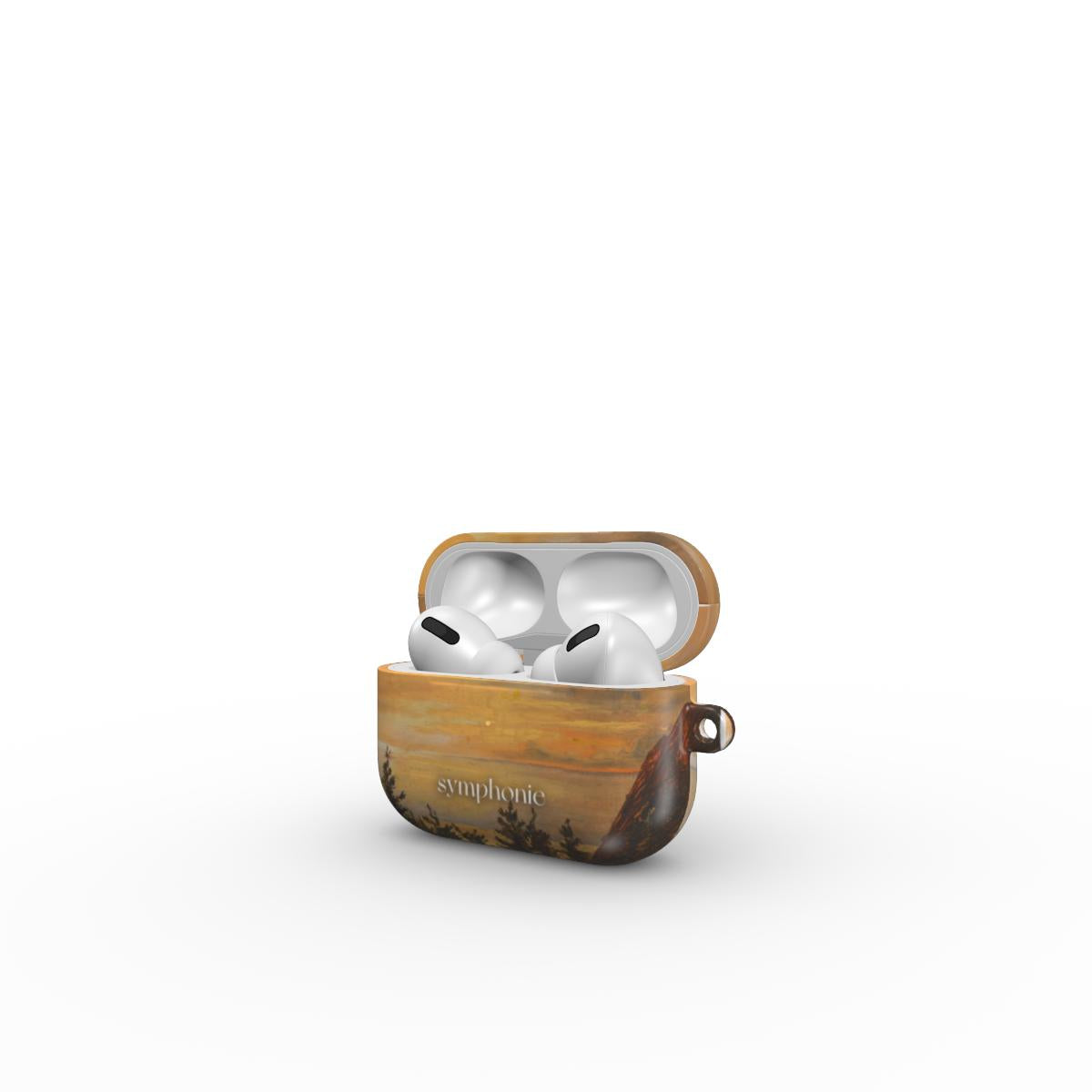 Pajūrio vaizdelis - AirPods dėklas