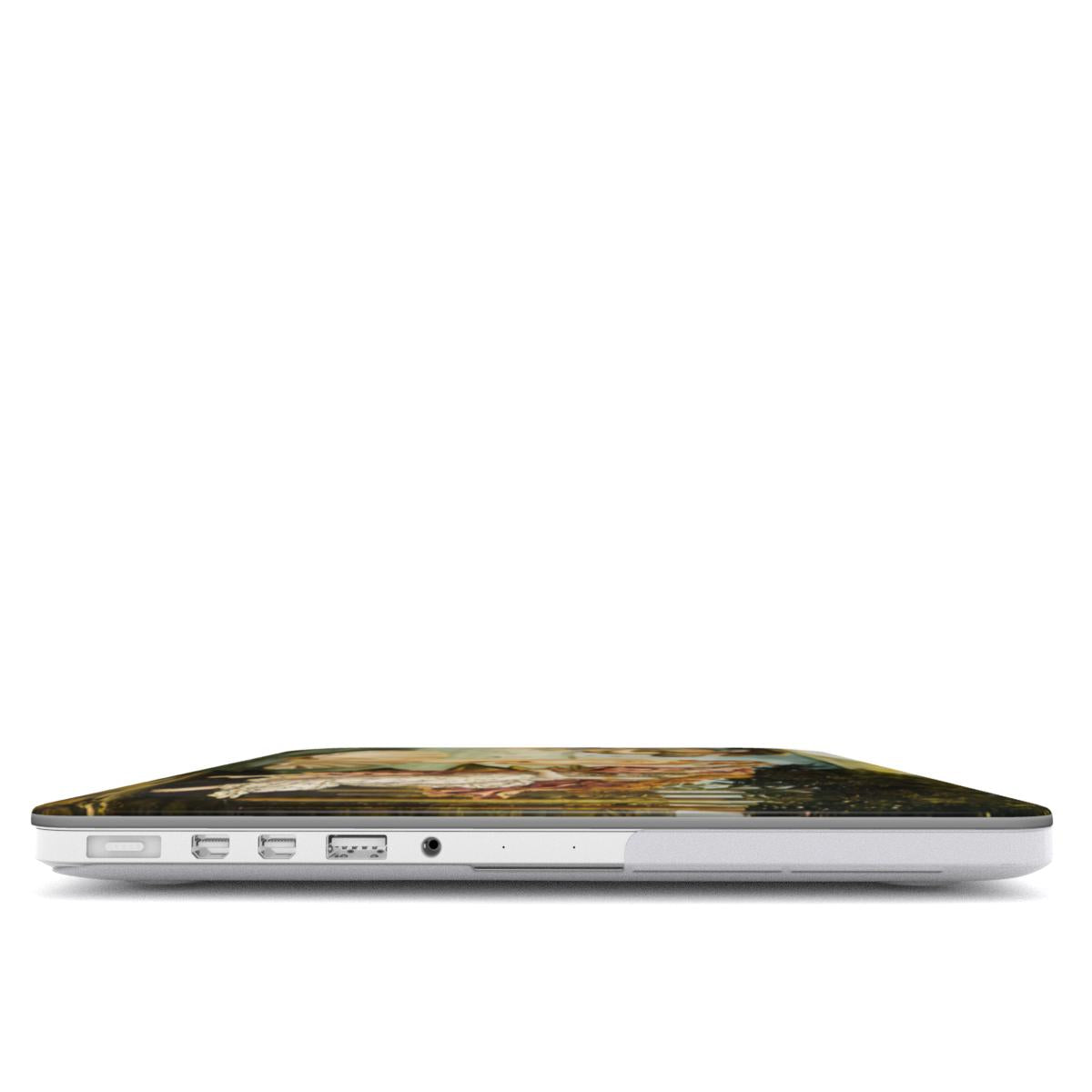 Veneros gimimas - MacBook dėklas