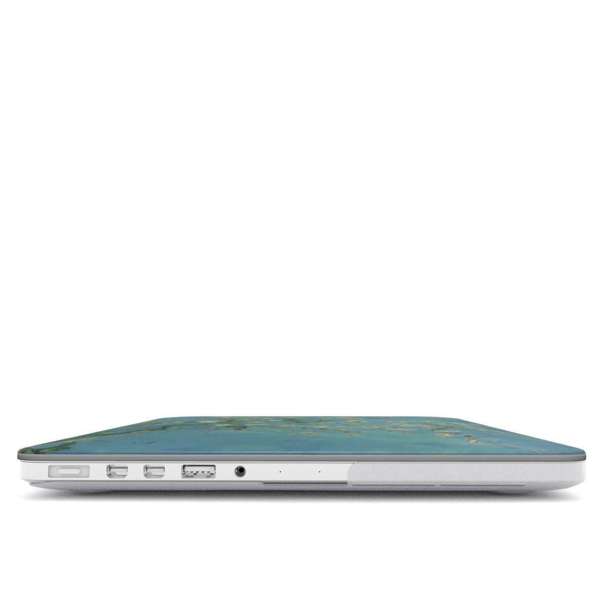 Migdolų žiedai - MacBook dėklas