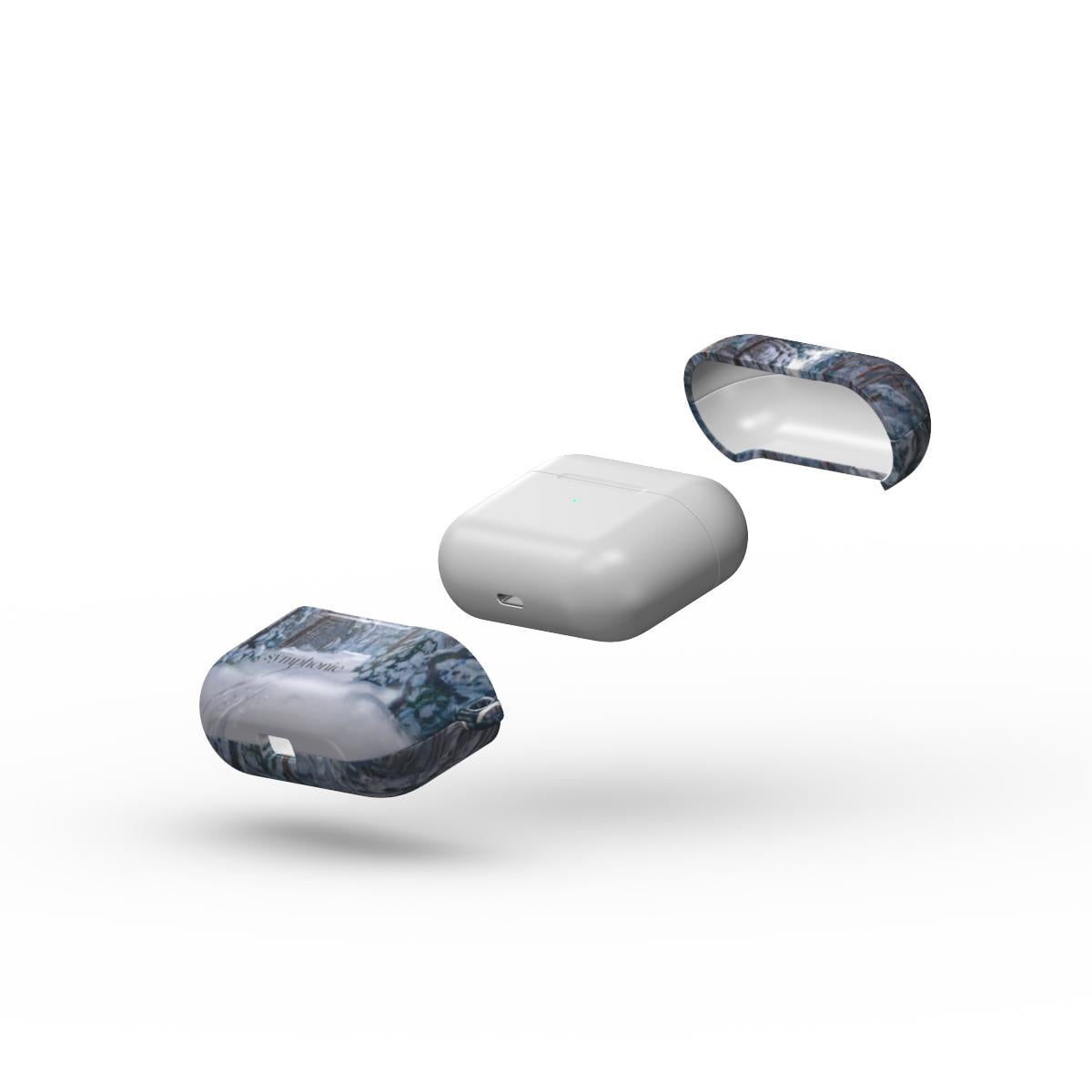 Sniegu užpustytas miško takas - AirPods dėklas