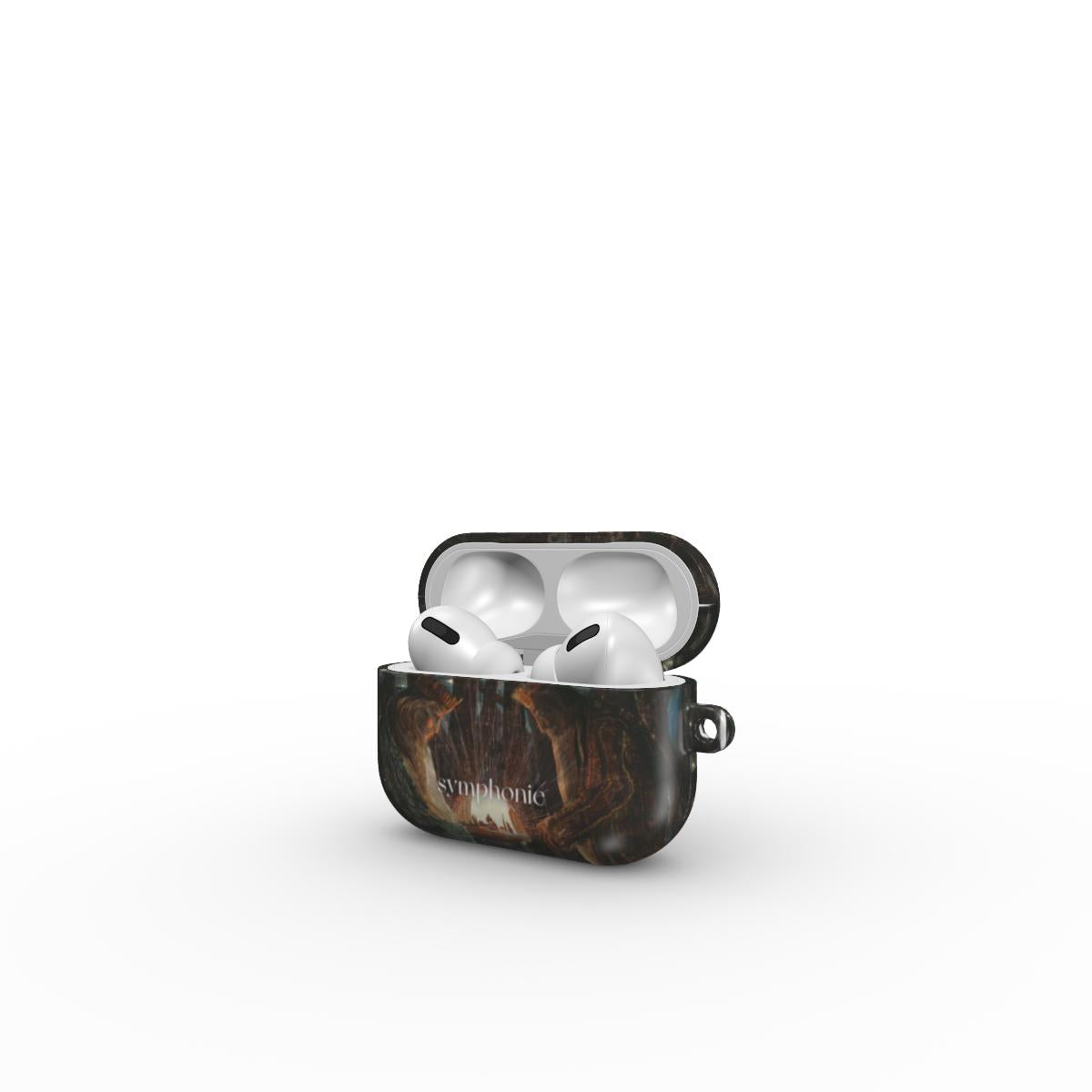 Karalių pasaka - AirPods dėklas