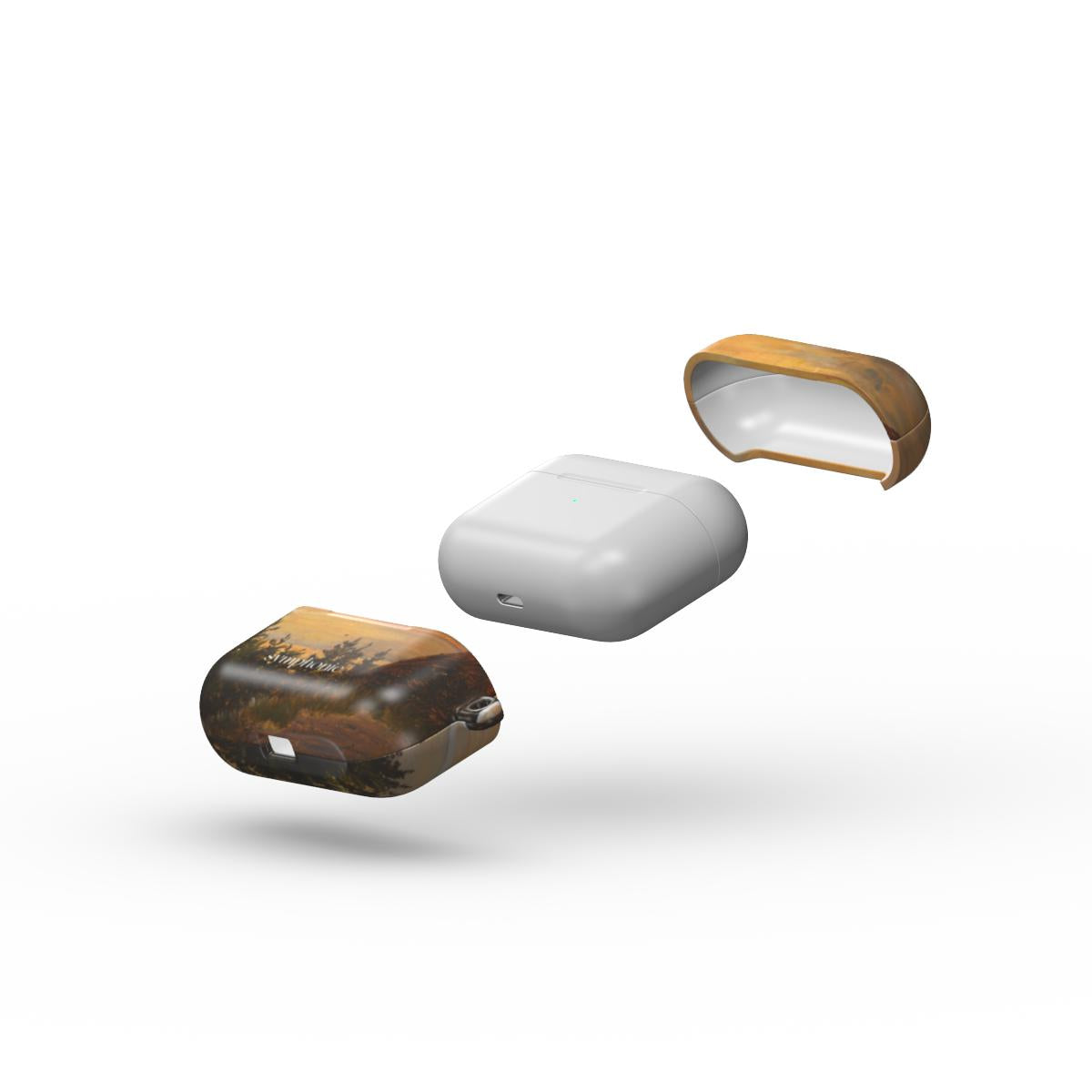 Pajūrio vaizdelis - AirPods dėklas